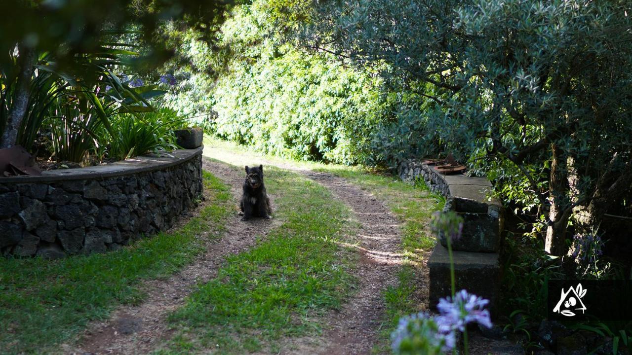 Quinta Do Paraiso Porto Martins ภายนอก รูปภาพ