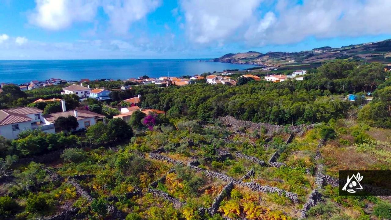 Quinta Do Paraiso Porto Martins ภายนอก รูปภาพ