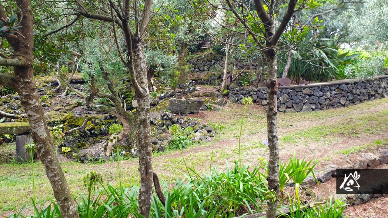 Quinta Do Paraiso Porto Martins ภายนอก รูปภาพ