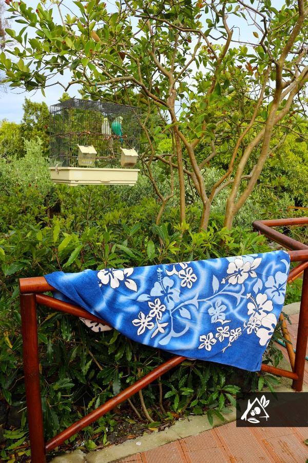 Quinta Do Paraiso Porto Martins ภายนอก รูปภาพ
